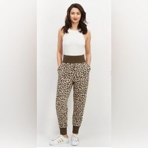 INC International Concepts Brown Track Pants with Leopard Print